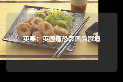 英媒：英国遭恐袭风险激增
