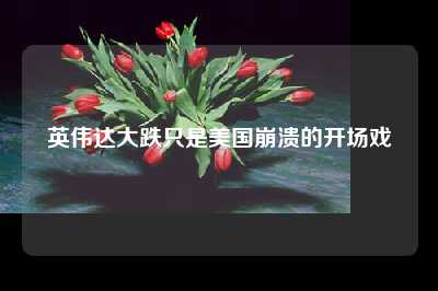 英伟达大跌只是美国崩溃的开场戏